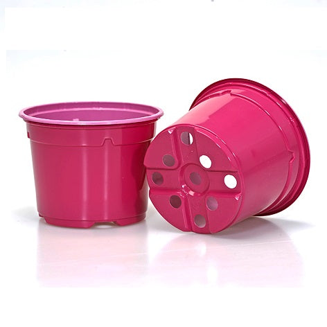 9cm Duo Thermo-Formed Pots - Fuschia