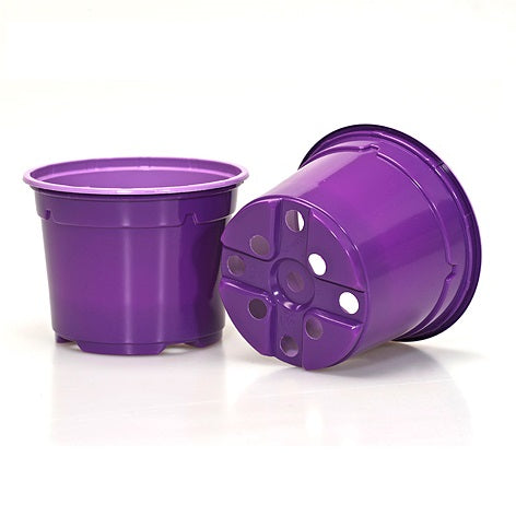 10.5cm Duo Thermo-Formed Pots - Violet