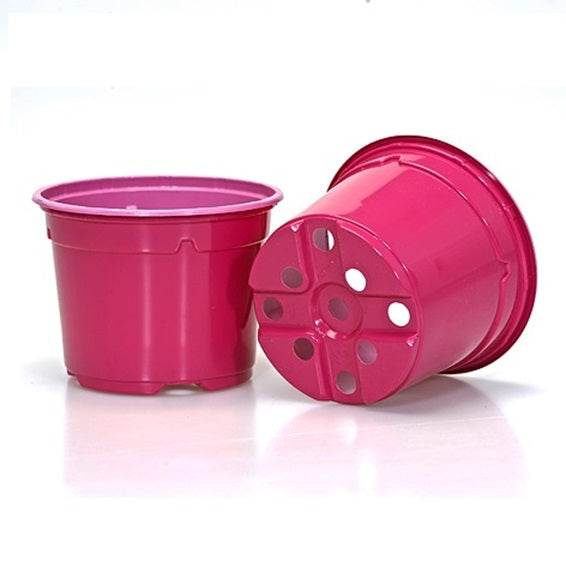 12cm Duo Thermo-Formed Pots - Fuschia