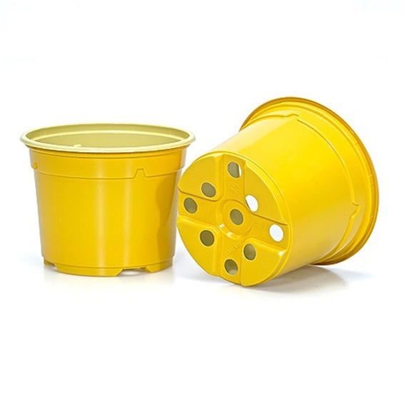 12cm Duo Thermo-Formed Pots - Yellow