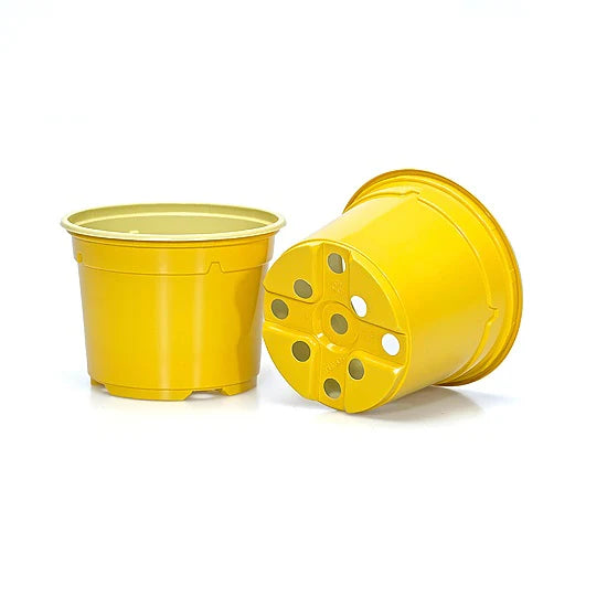 9cm Duo Thermo-Formed Pots - Yellow