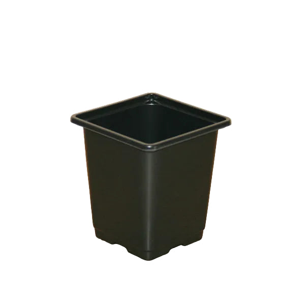 9cm Square Pots - Black