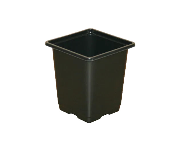 9 cm square plastic plant pots 9cm Square Pots